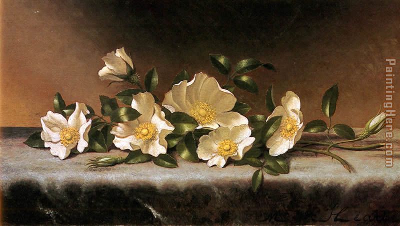 Cherokee Roses On A Light Gray Cloth painting - Martin Johnson Heade Cherokee Roses On A Light Gray Cloth art painting
